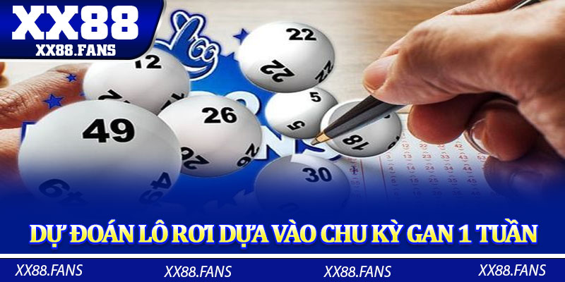 Dự đoán lô rơi dựa vào chu kỳ gan 1 tuần