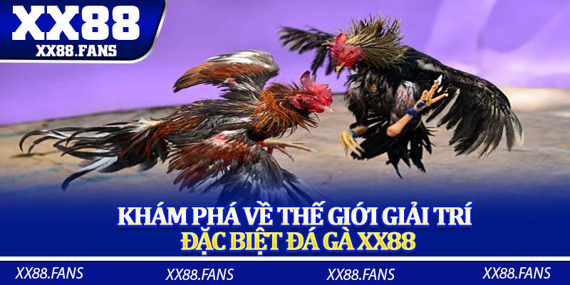 Khám phá về thế giới giải trí đặc biệt đá gà XX88