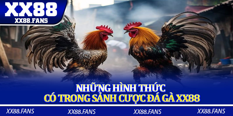 Những hình thức có trong sảnh cược đá gà XX88