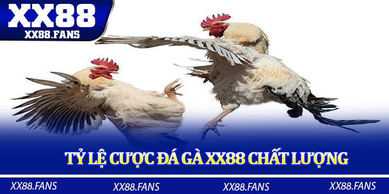 Tỷ lệ cược đá gà XX88 chất lượng mà bạn nhất định phải thử